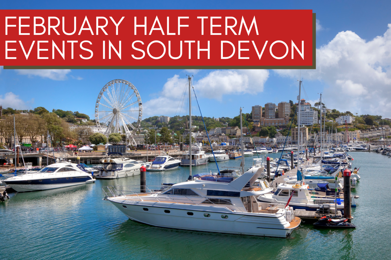 February Half Term in South Devon